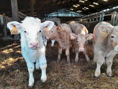 Ferme La Belle des Prés