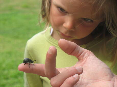 Découvre la nature de Brem avec Annabelle la coccinelle à vélo Découvre la nature de Brem avec Annabelle la coccinelle à vélo