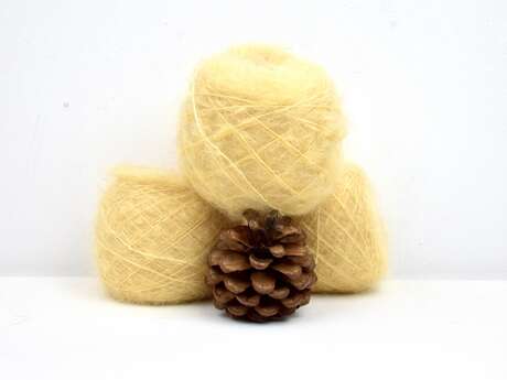 Le Mohair du Pays de Chambord