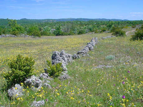 Cirque de Navacelles, du Larzac aux Gorges