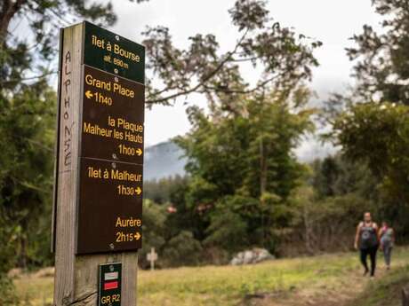 Zarlor Guided hike - The Ilet à Bourse Experience