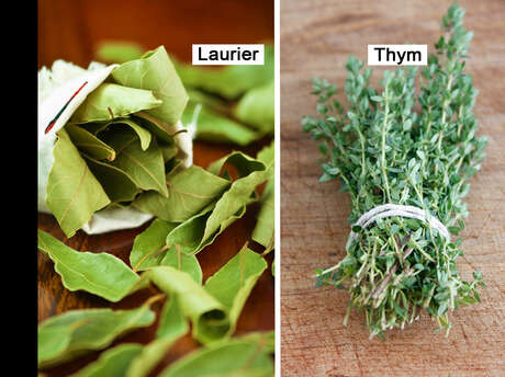 Laurel / Thyme / Allspice