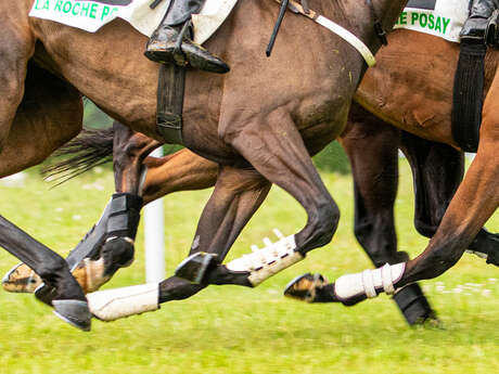 CARRERA DE CABALLOS