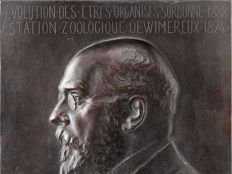 Rue Alfred GIARD