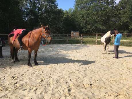 A LA RENCONTRE DE L'ÊTRE CHEVAL