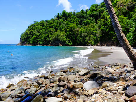 Plage de l'Anse Couleuvre