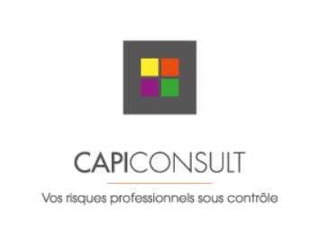 CAPI CONSULT