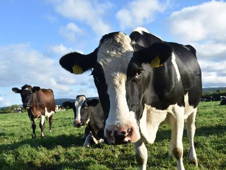 Ferme Pédagogique de la Marque Ferme Pédagogique de la Marque