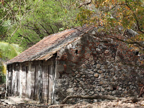 Captain Roro - Catamaran