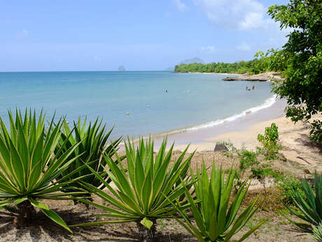 Plage de Pont Café