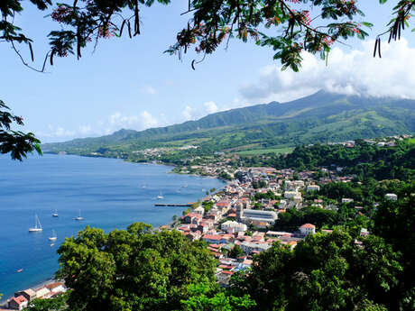 Point de vue (Saint-Pierre)