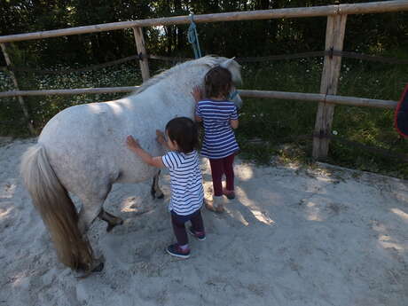 PONEY ET EMOTIONS