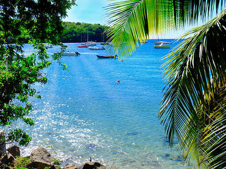 Plage de Grande Anse