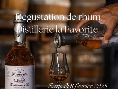 Dégustation de rhum (Beau Soley)