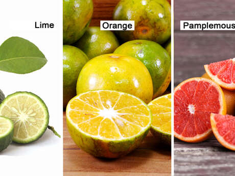 Lime (Citrus aurantiifolia) / Orange / Grapefruit