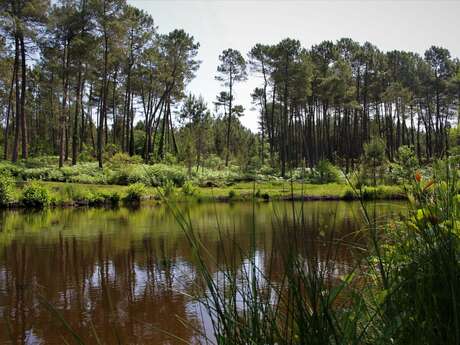 Journée Centre de Biodiversité Jean Rostand