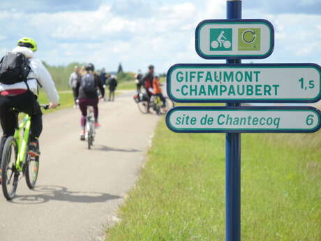 Le tour du Lac du Der à vélo