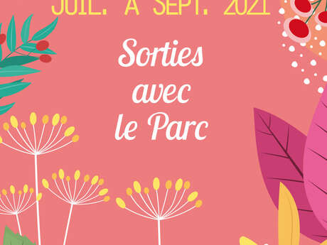 Balade urbaine Balade urbaine