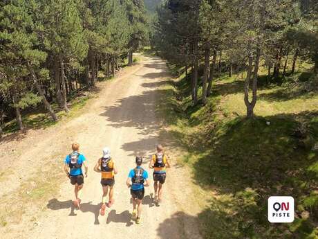 Trail N° 1 - Petit tour en foret