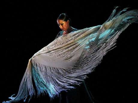 Festival Arte Flamenco - 04 juillet