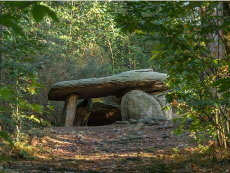 Dolmen des Follets - Saint Gravé