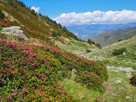 PR 98 - Col de Queralps