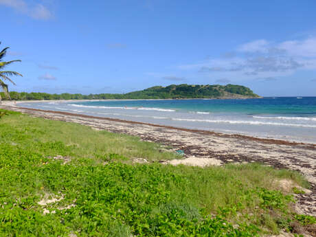 Plage de l'Anse Trabaud