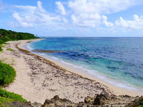 Plage de Cap Macré