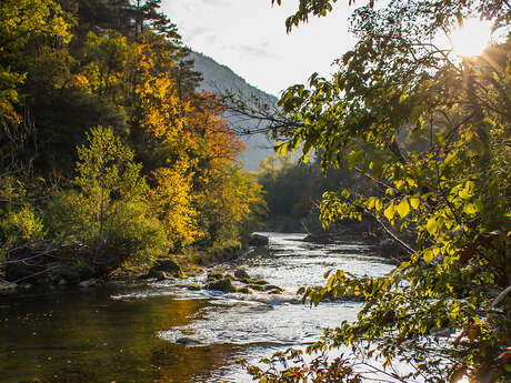 Mont Aigoual, de Causses en Gorges (2)