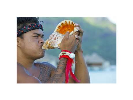The Islands of Tahiti Japan Seminars 2025