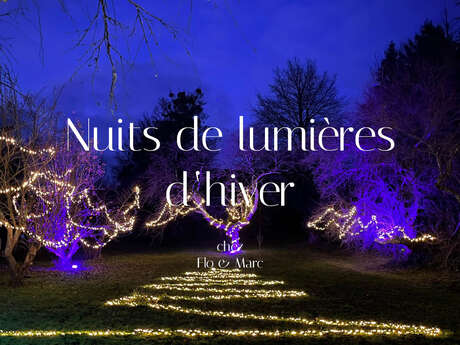 Nuits de lumières d'hiver