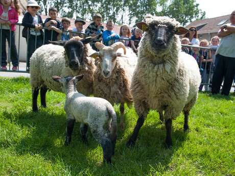 La ferme pédagogique Vernaelde