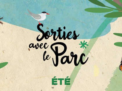 Sortie du Parc été Sortie du Parc été