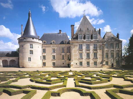 CASTILLO DE AZAY-LE-FERRON