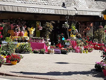 AUTOUR DES FLEURS