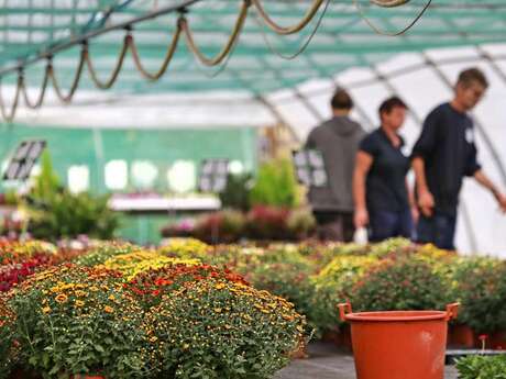 Portes ouvertes des jardins de Nonères