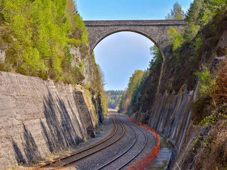 Le Pont Napoléon