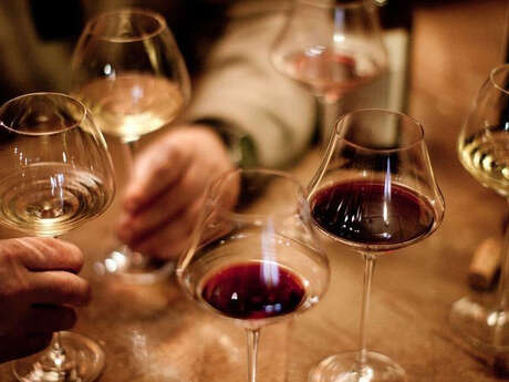 Cours de dégustation de vins