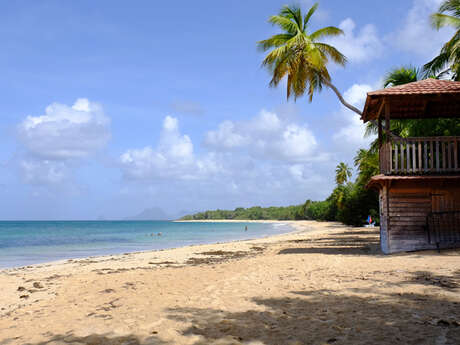 Plage des Grandes Salines