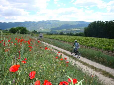 Saignon - Le plateau de Caseneuve