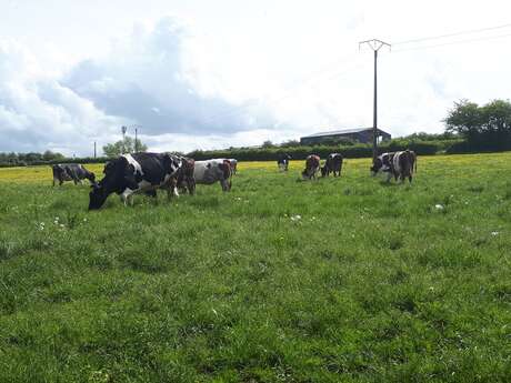 La Ferme Beugin