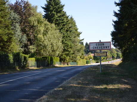 Les bruyères de Sérigny de Cour-cherverny