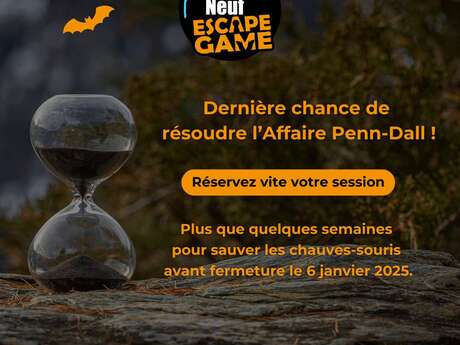 Escape Game "L'Affaire Penn-Dall"