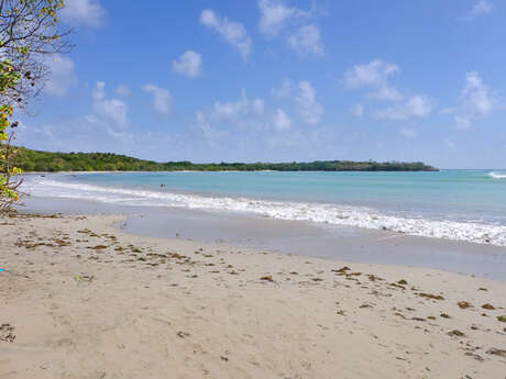 Plage de l'Anse Meunier