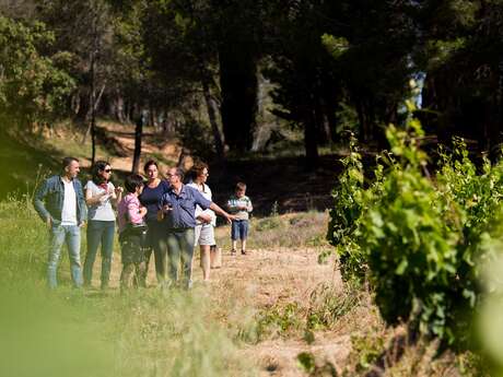 Vineyard Walk + Picnic - Château Grand Moulin Winery Vineyard Walk + Picnic - Château Grand Moulin Winery