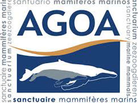 Agoa - Sanctuaire pour les mammifères marins