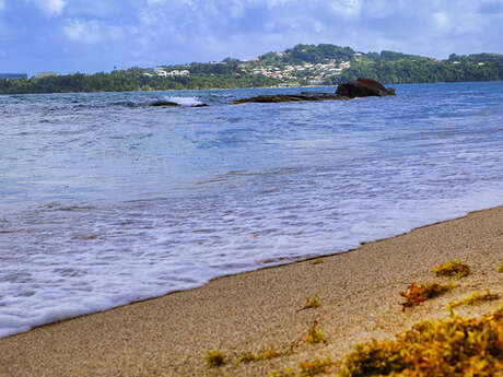 Plage de l'Anse Cosmy