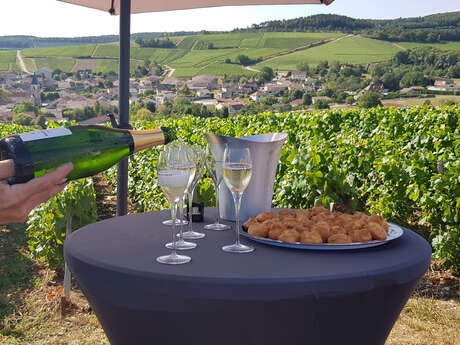 Champagne Philippe Fourrier
