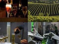 Cata de vinos - Burbujas e Iniciación - Maison Guinot Cata de vinos - Burbujas e Iniciación - Maison Guinot