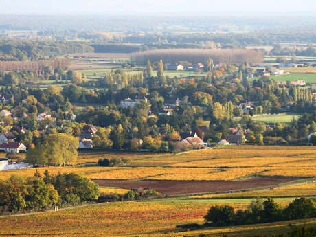 Givry : Boucle vélo du bourg historique au vignoble